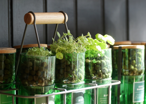 Hydro Herbs